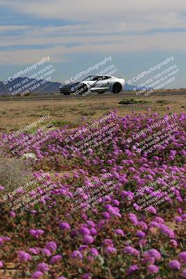 media/Jan-08-2023-SCCA SD (Sun) [[8f6a5b9391]]/Intermediate Group/Session 2 (Short Straight)/